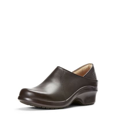 Ariat Hera Expert - Klompen Schoenen Chocola Dames - 11652-293